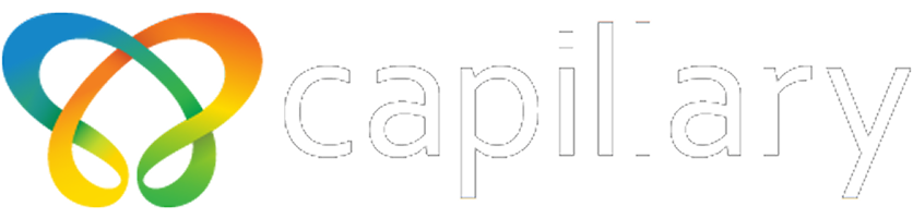 Capillary